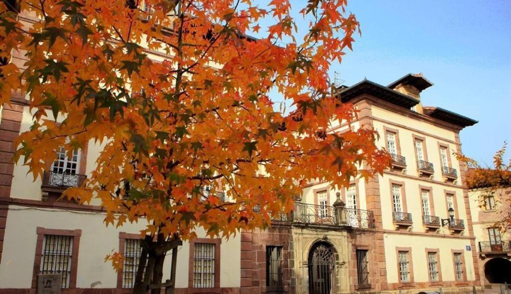 Pedroenea Apartamento Elizondo Dış mekan fotoğraf