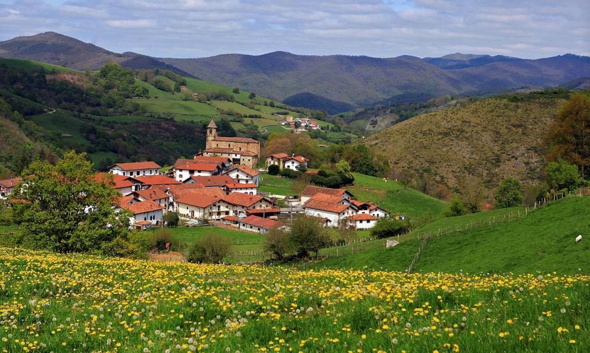 Pedroenea Apartamento Elizondo Dış mekan fotoğraf