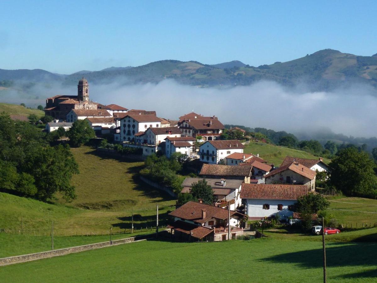 Pedroenea Apartamento Elizondo Dış mekan fotoğraf